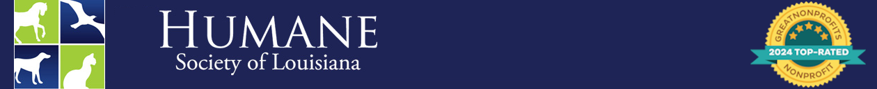 Mardi Gras Horse Adoption Program